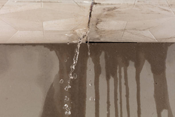 Professional Water Damage Repair technician working in Corinth, TX